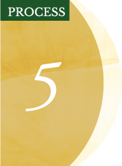 PROCESS01