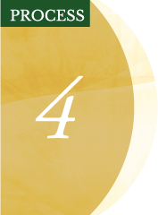 PROCESS06